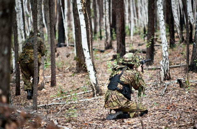 假如在丛林被敌人包围,只有一把枪和5颗手雷可用,你们会选啥?