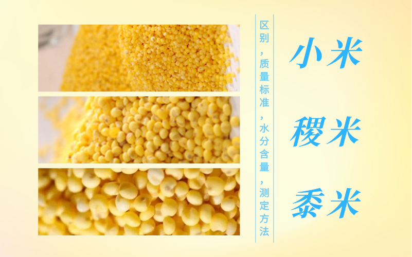 小米,稷米和黍米:区别,质量标准,水分含量,测定方法_腾讯新闻