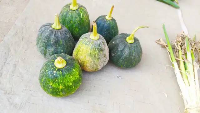 走,去逛逛欢口乡村集市的地摊_腾讯新闻