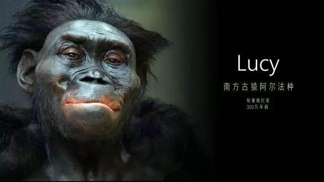 尼安德特人|人类文明曾倒退多次？告诉你真实的人类历史！仿佛有无形力量引导人类发展