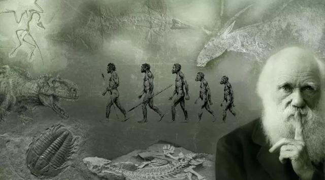 尼安德特人|人类文明曾倒退多次？告诉你真实的人类历史！仿佛有无形力量引导人类发展