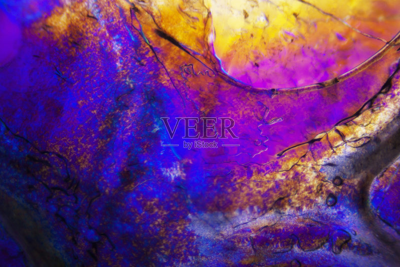 夸克|打破物理学！新的终极理论宣称：夸克可能不存在，或是一种错觉