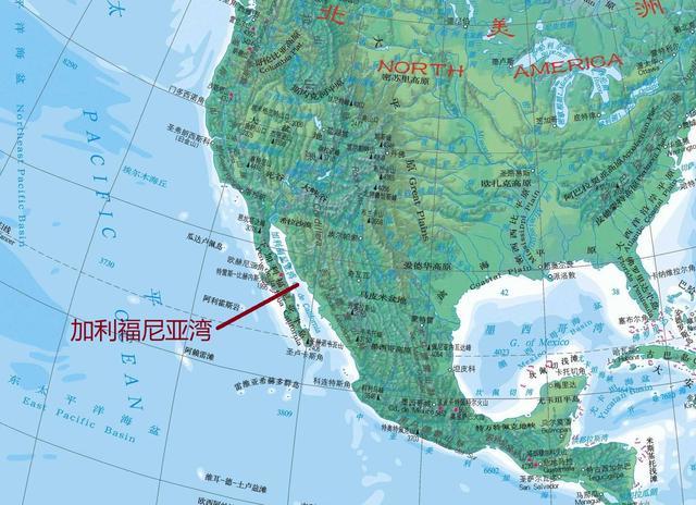 红海和加利福尼亚湾都是狭长的海洋两者在成因上是否相同