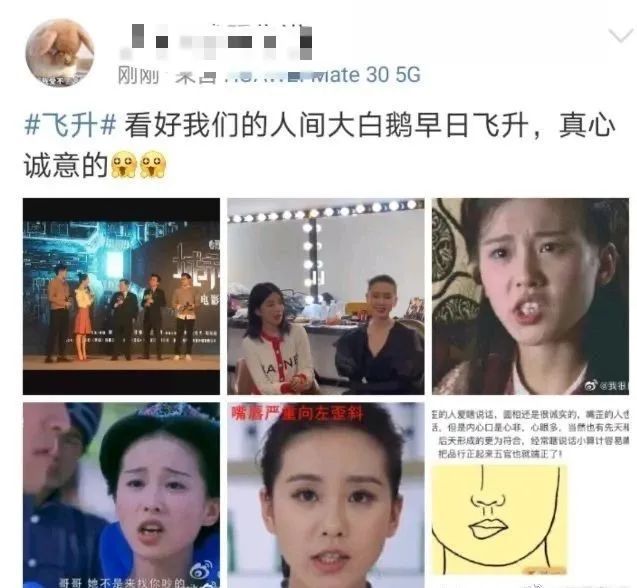 刘诗诗|屠天涯，炸贴吧，热搜全让路，也就85花互撕能做到了