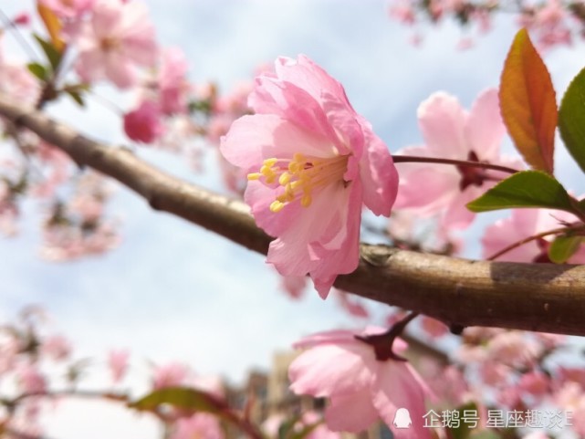 9月10日星座运势 金牛斗志昂扬 狮子成熟稳重 水瓶拼尽全力 腾讯网