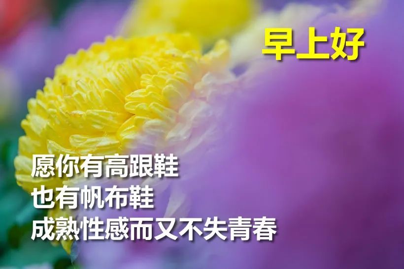 9月10日教师节最漂亮的早上好祝福语图片温馨清晨群发短语暧心问候动图 腾讯新闻