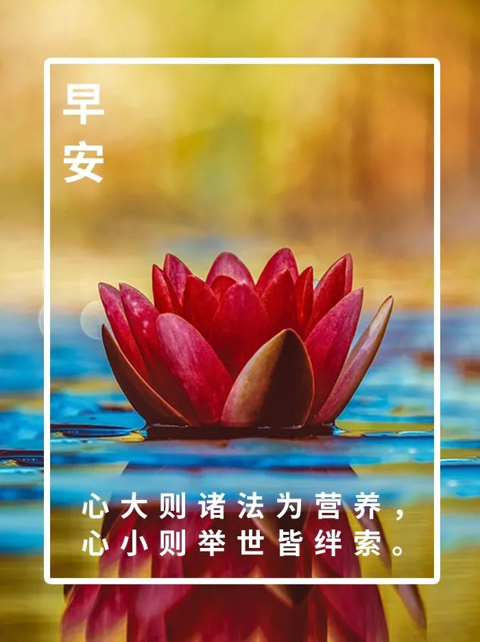 早安心语一句话早安你好一句话