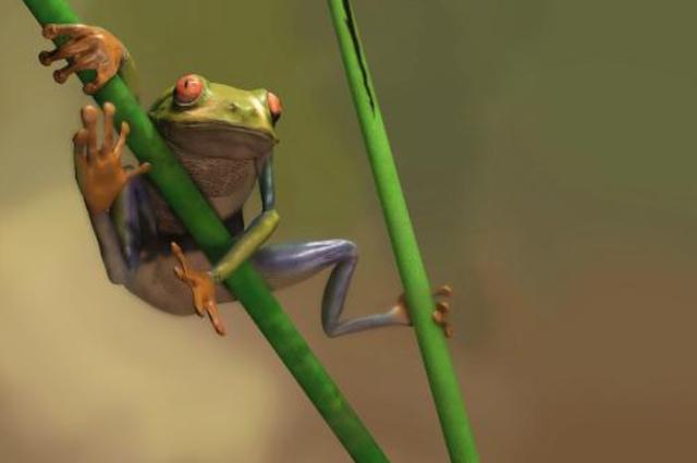 青蛙|确定了！消失52年的青蛙重现地球，灭绝生物再现能科学解释吗？