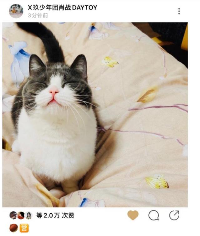 肖战|肖战家风节俭又朴实，一条床单用很多年，18岁时的手表一直戴