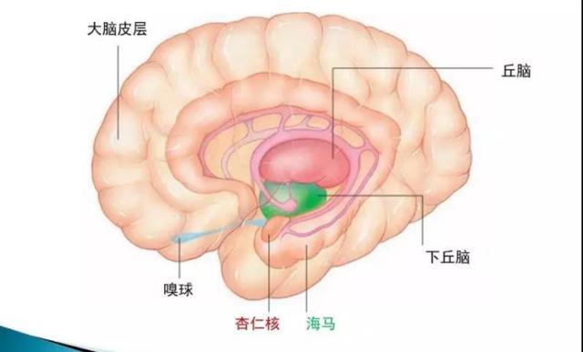 杏仁|教师节灵魂拷问：发现班主任正站在窗外看我，我要不要看回去？
