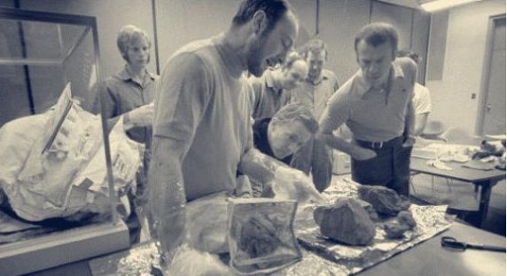 月球|这个东西不属于月球，被阿波罗飞船发现，并带回了地球