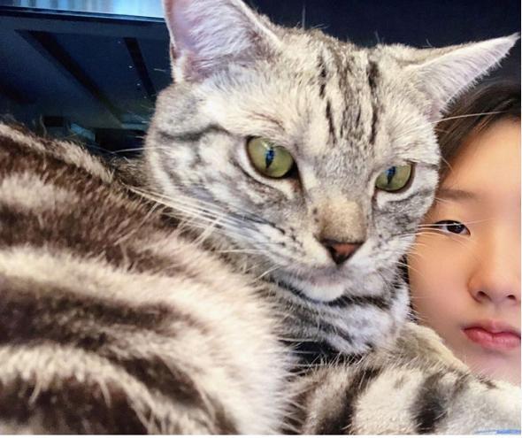 小s|母女杠上了？小S大女儿晒照谈宠物观，小S留言吐槽其没责任心