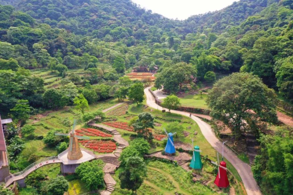 二龙山花海在二龙山风景区里,游客可抛却城市带来的烦恼,远离喧嚣