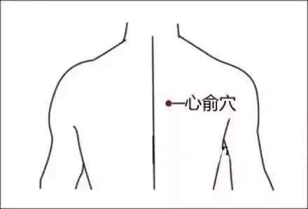 针灸穴名解——膀胱经腧穴 心俞