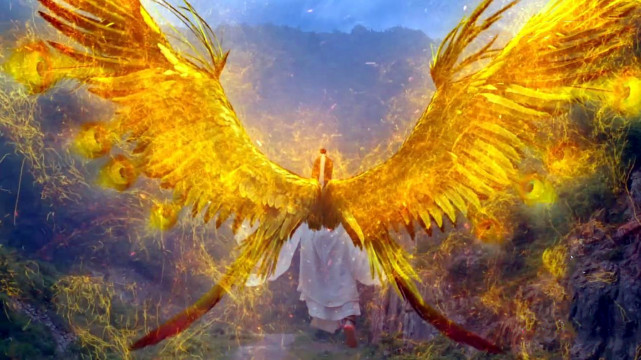 琉璃美人煞 司凤千年前是金赤鸟妖 金赤鸟为何在天界 和副宫主有关 金赤鸟 琉璃美人煞 禹司凤 褚璇玑 离泽宫