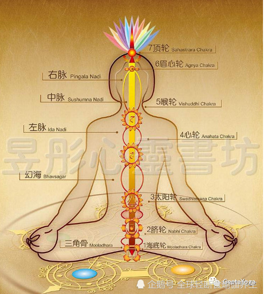 为何梵文能够从瑜伽传统文化的角度去深入了解体式的哲学与灵性?