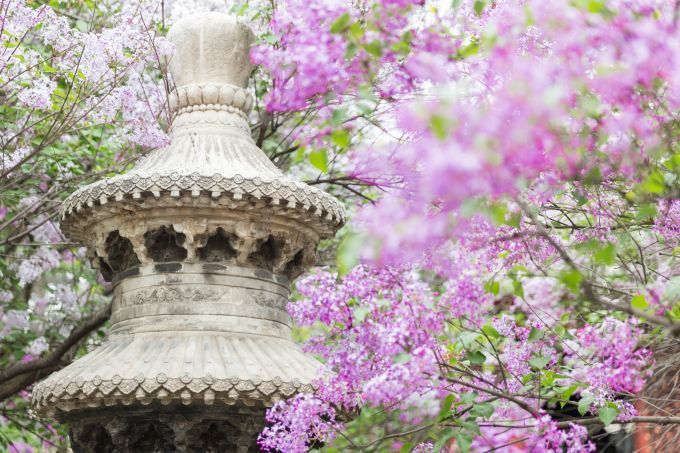 北京法源寺|龚自珍曾三游北京法源寺 为何感叹“身世依然是落花”