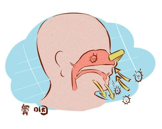 耳屎|看似干净卫生的这6件事，实则却有损健康！医生劝你赶紧停下