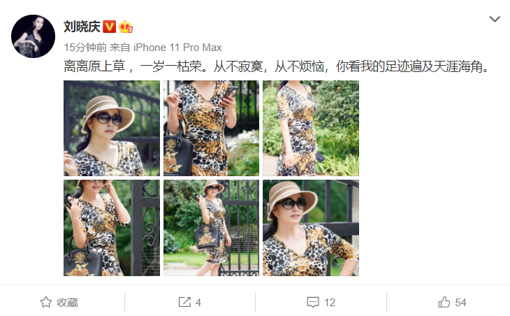 刘晓庆|64岁刘晓庆罕见凹造型拍写真，豹纹短裙发贵妇打扮仍显土气