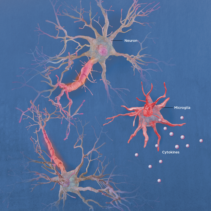 让神经生物学告诉我们什么是自杀