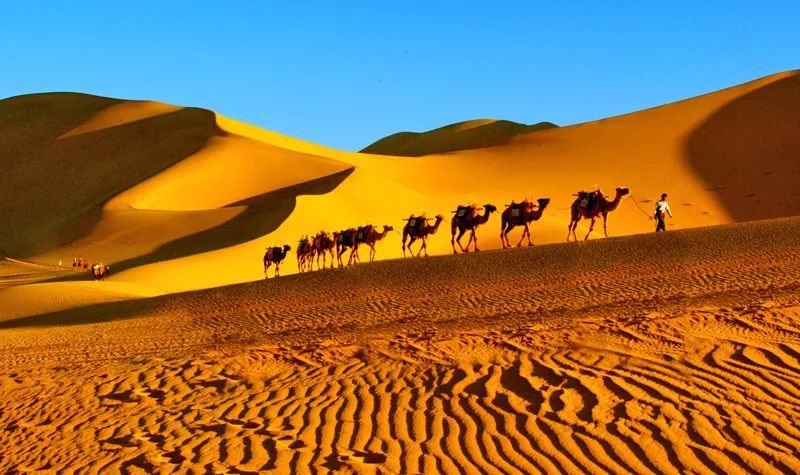 中国诗友社刊|《中国诗友社刊》第三十期 甘肃诗人优秀作品合辑