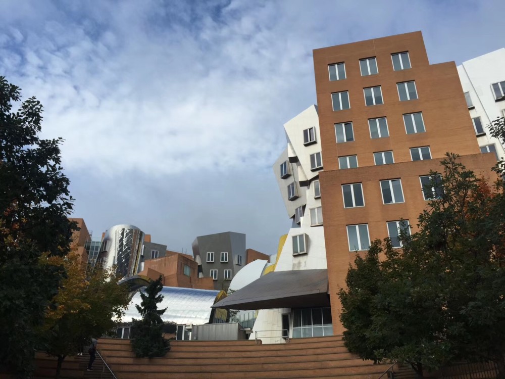 藤校家里蹲,谷歌忙着抢大学"生意",疫情时代留学生出路在哪呢?