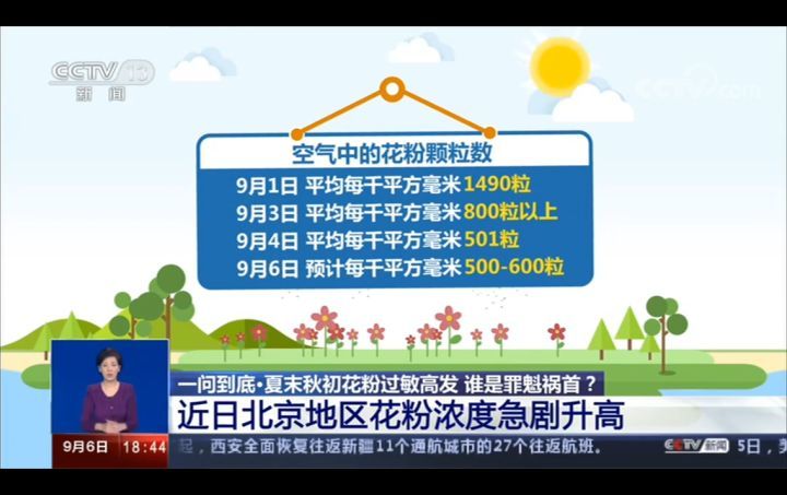 夏末秋初花粉过敏高发 谁是罪魁祸首 腾讯新闻