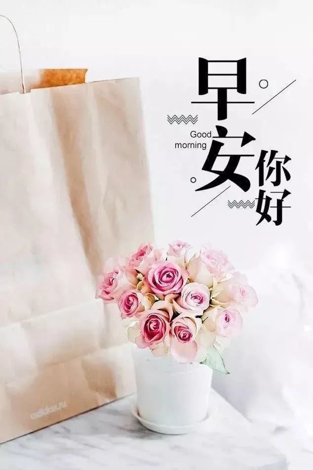 适合早上发朋友圈的句子文案,早上正能量短语朋友圈图片配图