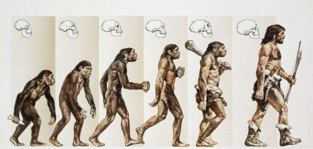 意识|平行空间存在吗？人死后会不会出现重生？研究：人死后仍会有意识
