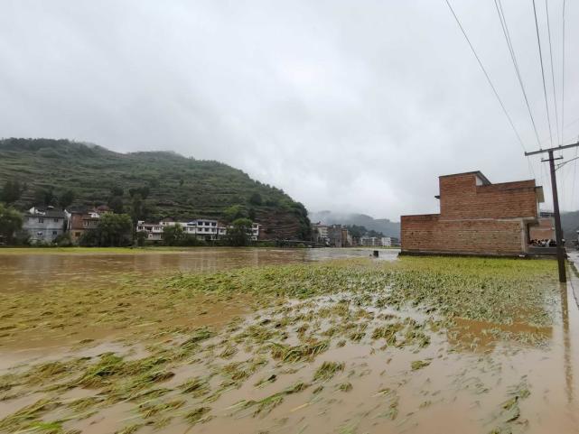 3毫米,金兰街道(原护家镇)140毫米,丹桂镇133.9毫