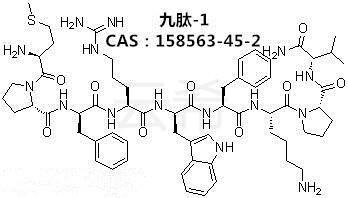 寡肽-54是一种新型的激活头皮细胞的多肽