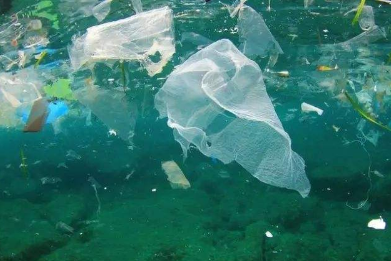 马里亚纳海沟|10000米的马里亚纳海沟，科学家最不愿看到的东西，出现了！