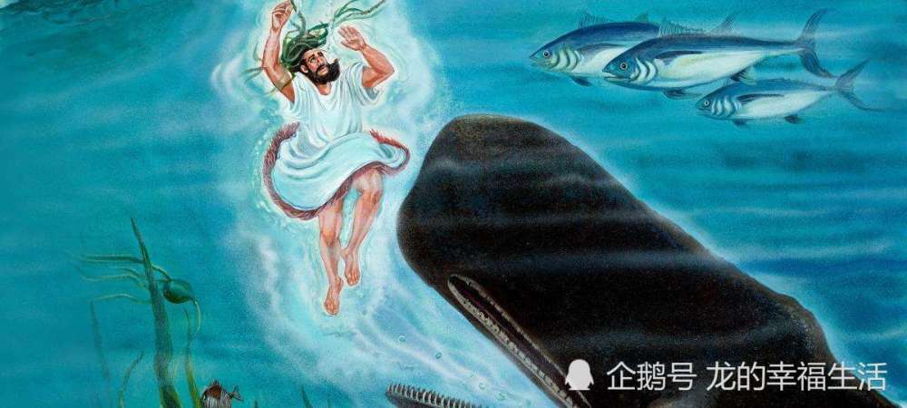 如果你突然被鲸鱼吞掉,会发生什么?_腾讯新闻
