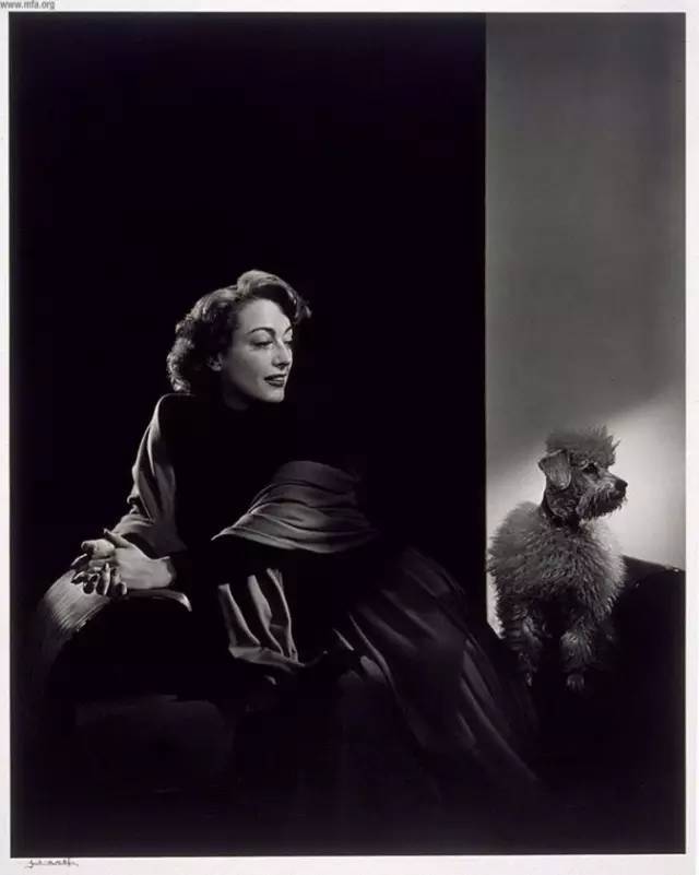 jacques cousteau 雅克库斯托