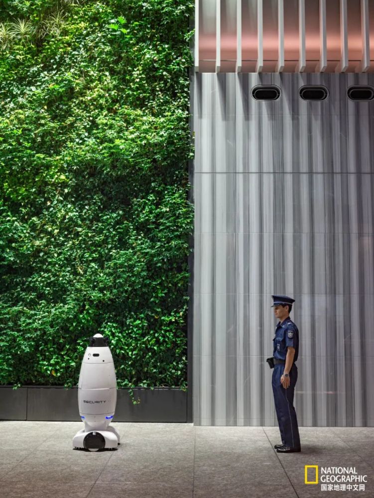 机器人|“嘿Siri，机器人会统治人类吗？”