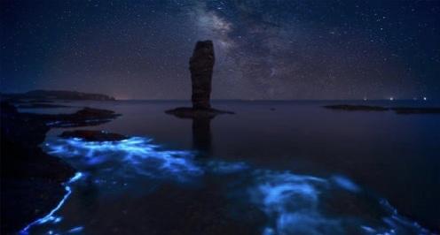 多地出现荧光海 仿佛置身于魔幻世界 可并不是一个好现象 腾讯新闻