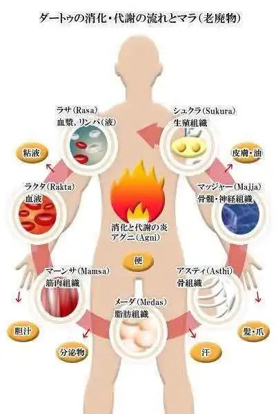 阿育吠陀回春术 油疗保养 腾讯网