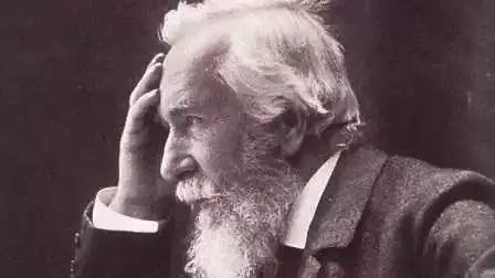 文学|鲁枢元：走进生态学领域的文学艺术