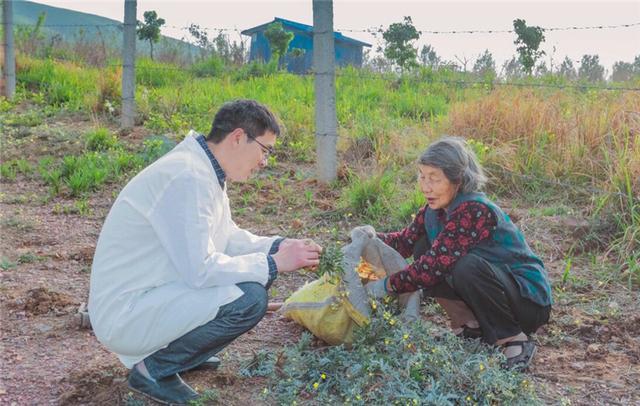 河南|6年前放弃80万年薪，毅然回河南农村养羊的清华硕士，现状怎样