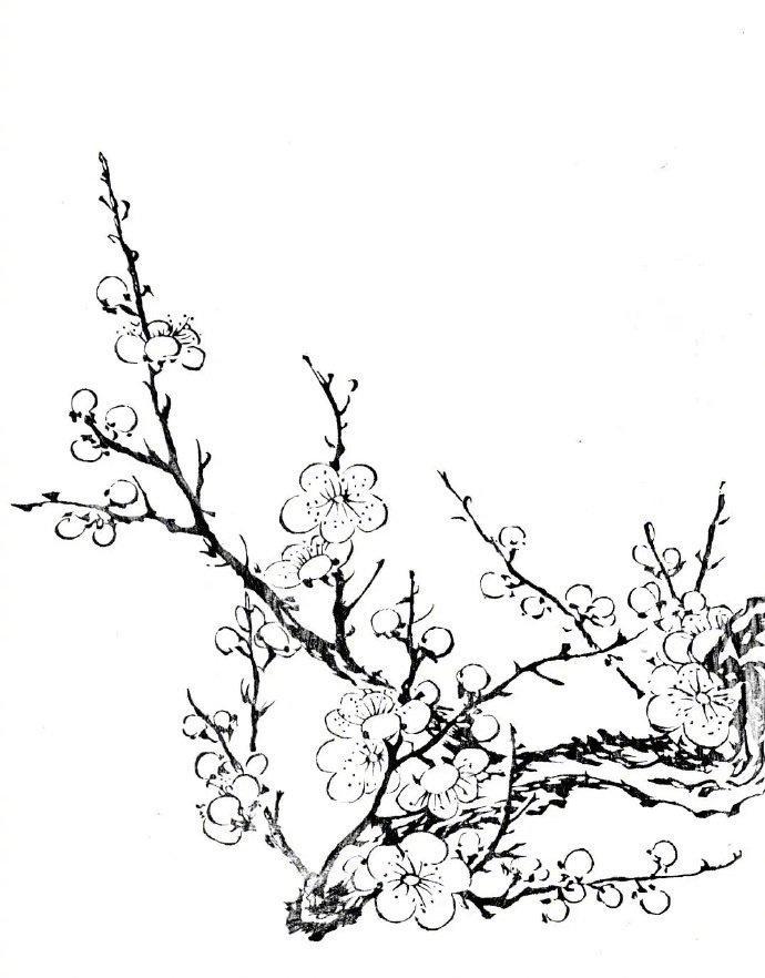 梅花的画法和其它常见花卉是不一样的,这里讲的画法并不是很难,但是