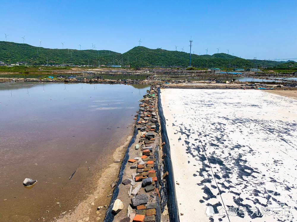 自驾上海岛,十一假期避开人流,去衢山岛吃海鲜,抓螃蟹,捡贝壳,看风车