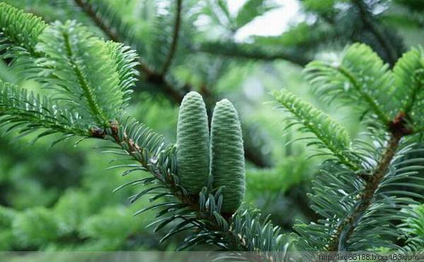 地球|地球下了一场200万年的雨，恐龙诞生了，再来一次人类命运会如何