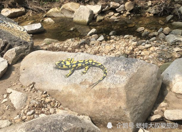 北京|北京郊区藏着一个美丽仙侠之地，童真十足，少有的大自然之地！