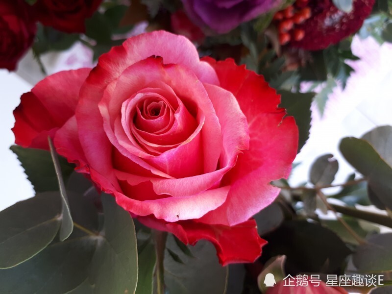 9月11日星座运势 白羊把握机会 天蝎信心十足 摩羯扬长避短 腾讯新闻