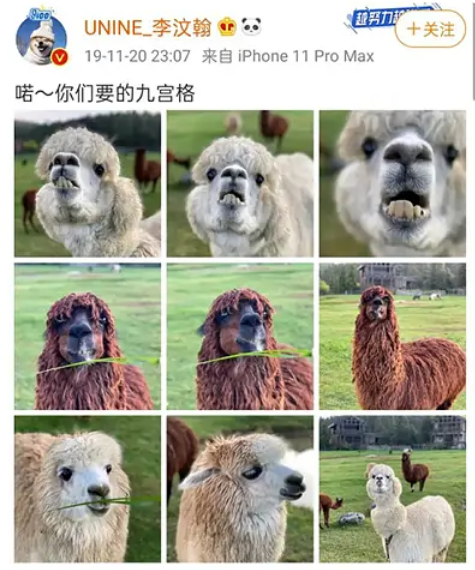 李汶翰|曝恋情牵出劈腿史，他再装死就真凉了......