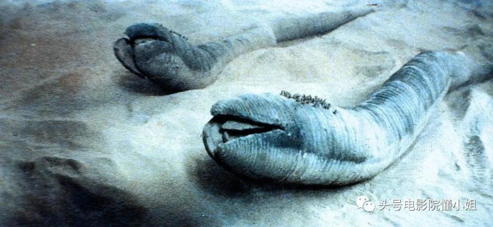 科幻|年度预定！最难拍科幻巨作年底上映，已失败两次，这次能否封神？