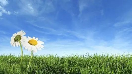 眼科|眼科医生：秋季这样护理眼睛，帮你远离眼部疾病！
