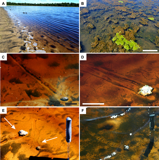 geology|《Geology》2020年第9期论文导读（上）