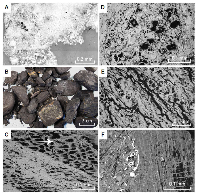 geology|《Geology》2020年第9期论文导读（上）
