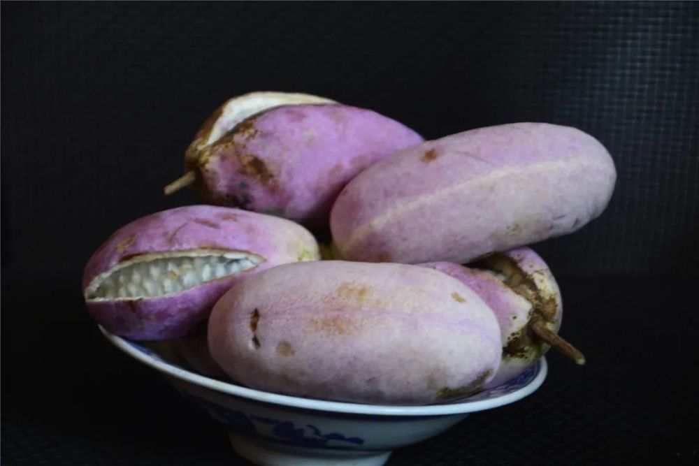 嵩县农民种植北方白香蕉从野生到大田培育成功耗时8年